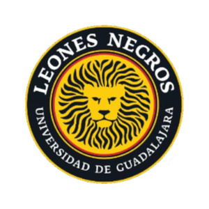 Leones Negros